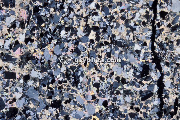 Grès à grains anguleux LPV x2 - gryphea.com